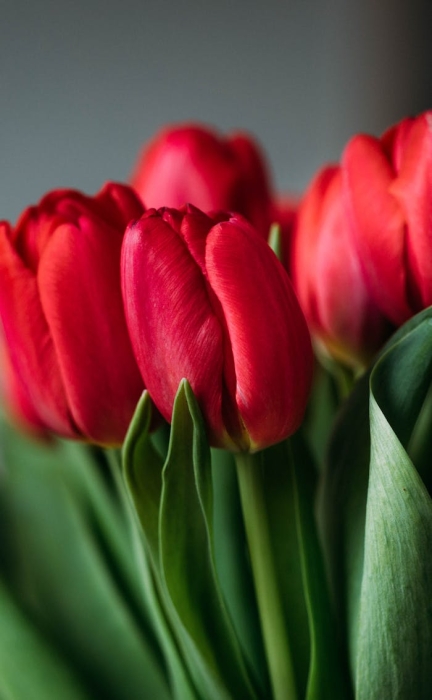 �W(w��ng)վ������ͨ�^���}Ҫ��ô��(y��u)��